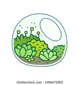 Cute terrarium with plants. Moss, succulents and flowers in glass jar. Hand drawn doodle style vector illustration.