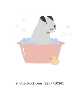 Cute terrier dog having a bath with a foam and bubbles. Vector illustration of a funny washing pet.