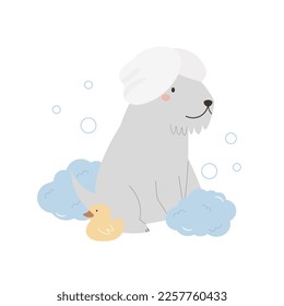 Cute terrier dog with a towel on a head, foam, bubbles and rubber duck. Vector illustration of a funny washing pet.