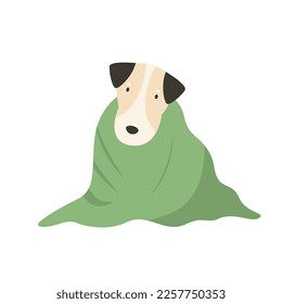 Cute terrier dog wrapped in a towel. Vector illustration of a domestic pet isolated on white background.
