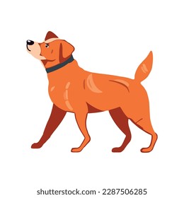 Cute terrier puppy icon isolated