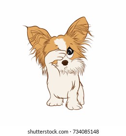 cute terrier vector illustration