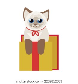 Cute Thai cat in gift box on white background