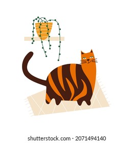 Cute thick cat and houseplant on a white background. Simple vector flat childish illustration