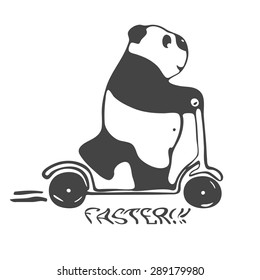 Cute and thick panda  rides fast with scooter. Always travel, live, have fun. In black and white.