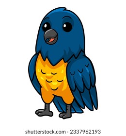 Cute thraupidae black and gold tanager bird cartoon