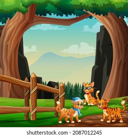 Cute three cats playing in the nature
