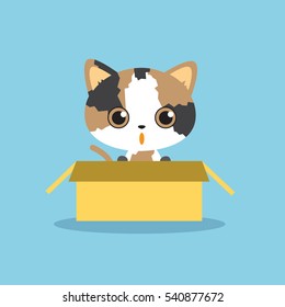 Cute three colored kitten in the box isolated vector illustration