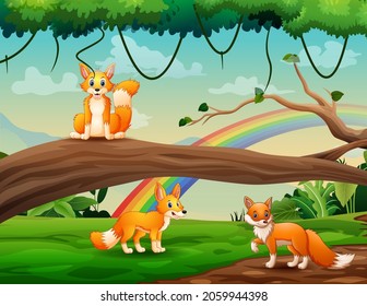 Cute three foxes cartoon playing at the jungle