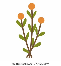 Cute thyme branch with small berries in cozy flat hand-drawn style for herbal or kitchen designs.