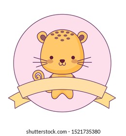 cute tiger animal with ribbon in frame vector illustration design