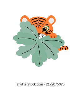 Cute tiger baby looks out from behind a bush. Vector illustration of wild animal in childish cartoon flat style.