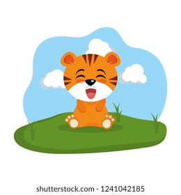 cute tiger in the camp