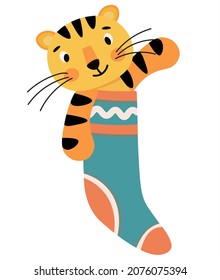 Un tigre lindo en un calcetín de Navidad agitando una pata. Año del tigre. Un personaje gracioso. Un regalo maravilloso para las vacaciones en forma de postales de diseño, embalaje, tarjetas para niños, web. Vector aislado