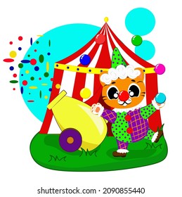 A cute tiger in a clown costume juggles balls in the circus