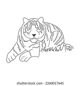 Cute Tiger With coloring book pages picture,Tiger line art,Tiger outline drawing vector illustration, Tiger vector art and line drawing