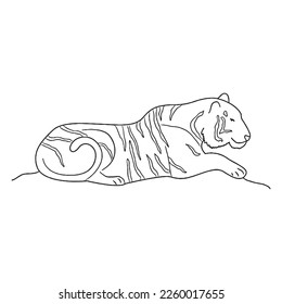 Cute Tiger With coloring book pages picture,Tiger line art,Tiger outline drawing vector illustration, Tiger vector art and line drawing