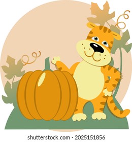 The cute tiger cub character has grown a large pumpkin for the holiday, against the background of pumpkin leaves. Vector illustration