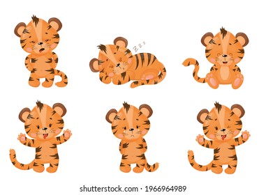 Cute tiger cubs with  in full body