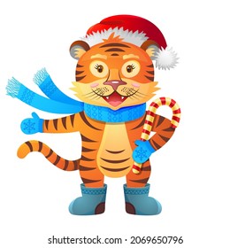 A cute tiger in felt boots and mittens, Santa Claus hat, scarf and lollipop. Happy new year 2022. Drawn funny Christmas character. Vector illustration.