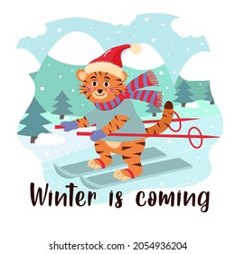 Cute tiger in hat and scarf is skiing. Winter landscape. Winter is coming lettering. Christmas greeting card.