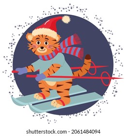 Cute tiger in hat and scarf is skiing. New Year character. Cartoon vector illustration.