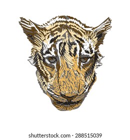 Cute tiger head, hand-painted. Vector