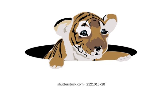 Cute tiger in a hole cartoon vector icon illustration. Tiger symbol template isolated on white background. Beautiful natural animal creative concept