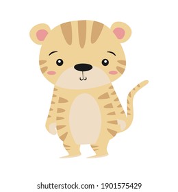 A cute tiger illustration for children book  or flash card. A simple flat vector design.