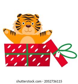 Cute tiger isolated on a white background sitting in a gift. Flat drawing in cartoon style. it can be used as a symbol of the year and design of children's products. Tiger cuts out of the box