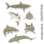 Cute Tiger Shark Poses Set Cartoon Vector