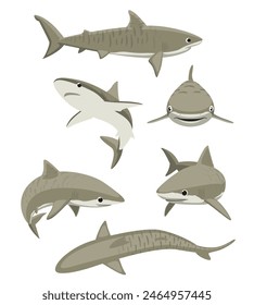 Cute Tiger Shark Poses Set Cartoon Vector