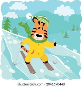 Cute tiger skiing. Vector illustration of sports animal in winter. Cartoon style