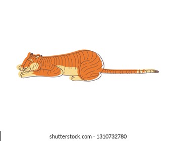 Cute tiger sleeping on the ground. Wild animal with orange coat. Large predatory cat. Hand drawn vector design