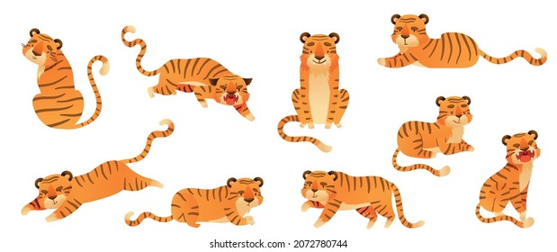 Cute tiger in various poses set. Jungle wild predator animals cartoon vector illustration