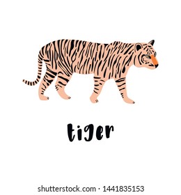 Cute tiger vector illustration. Cartoon animal tiger. The drawn wild cat. Flat style Vector illustration