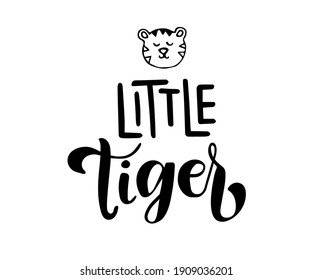 Cute tiger vector illustration for t-shirt design with text little tiger. Vector illustration design for fashion cloth, textile graphics, prints.