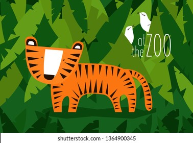 Cute tiger at the zoo
