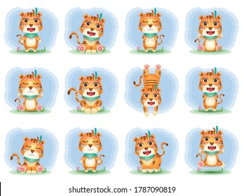 a cute tigers collection with apache costume