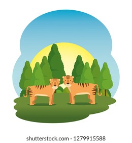 cute tigers couple in the field scene