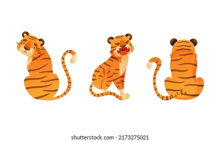 Cute tigers set. Back and side view of wild jungle predator animal cartoon vector illustration