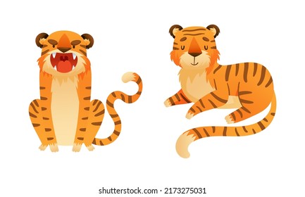 Cute tigers set. Wild jungle predator animal roaring and lying cartoon vector illustration