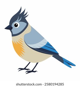 Cute titmouse bird. Suitable for educational posters, logos, children's books and encyclopedias. Children's picture. Vector illustration