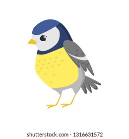 Cute titmouse with yellow breast template on white background