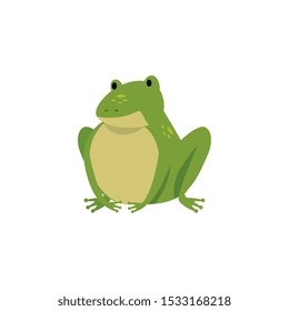 cute toad animal isolated icon vector illustration design