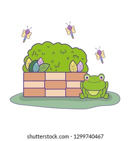 cute toad with bush in the landscape