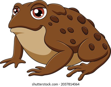 Cute Toad cartoon vector illustration