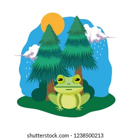 cute toad in the landscape