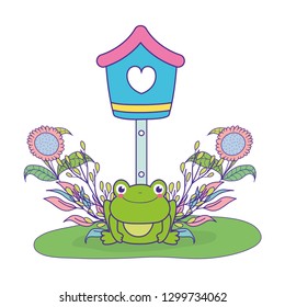 cute toad in the landscape with birdhouse