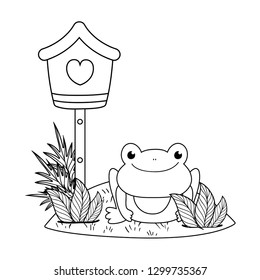 cute toad in the landscape with birdhouse